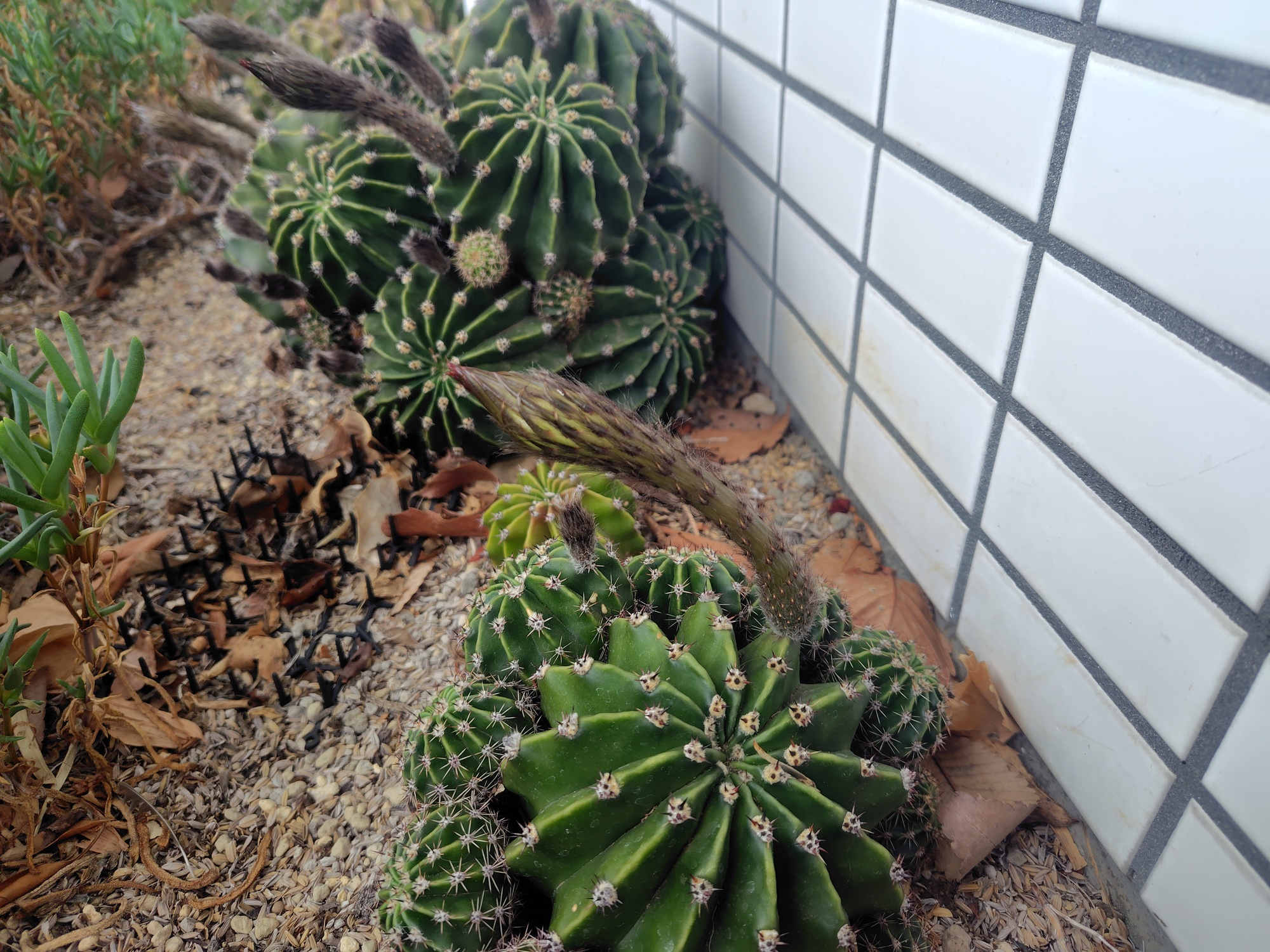 新着情報の画像