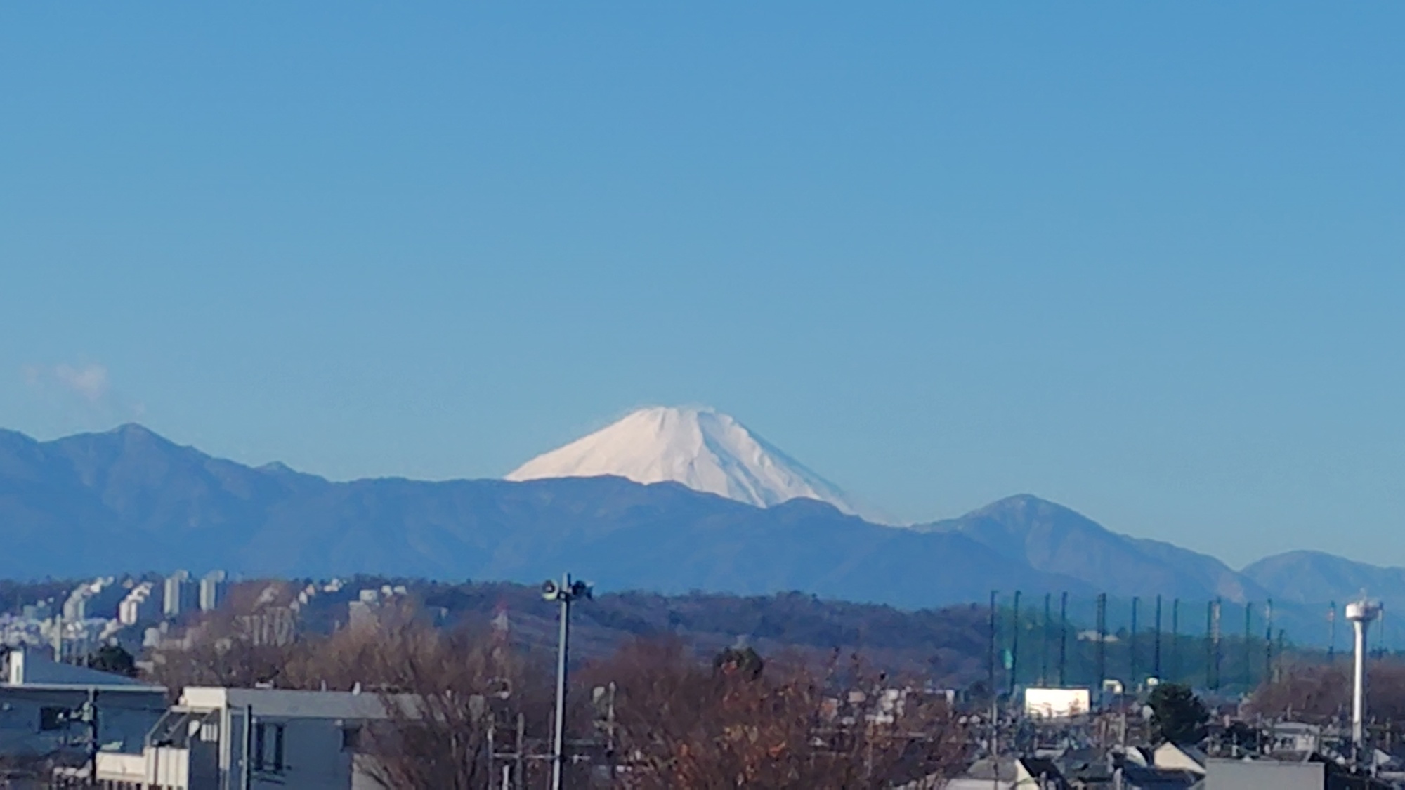 新着情報の画像